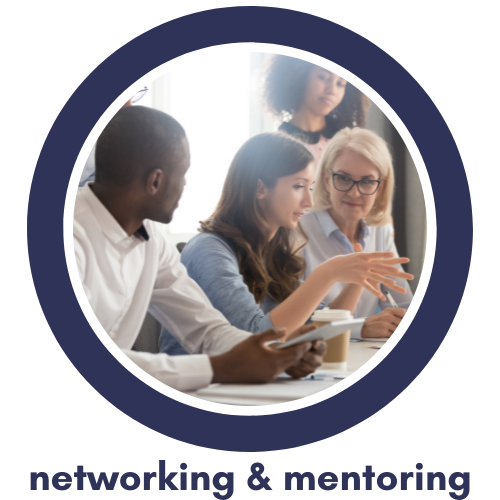 Networking & Mentoring